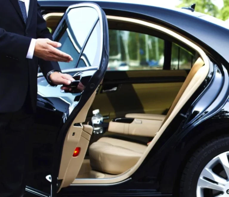 Airport & Intercity Transfers Across Egypt